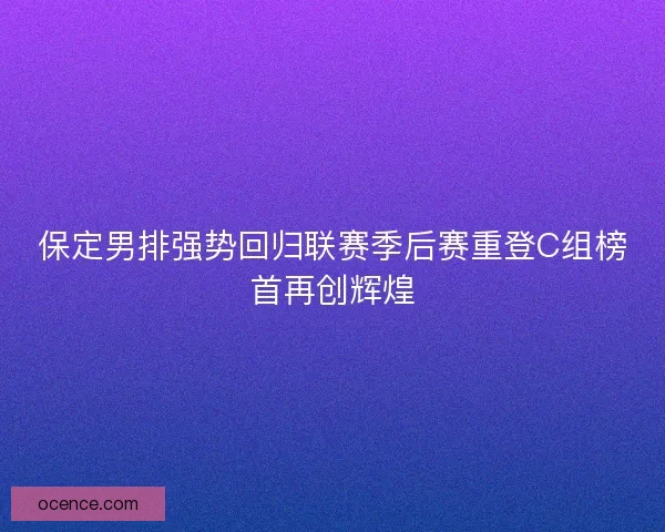 保定男排强势回归联赛季后赛重登C组榜首再创辉煌